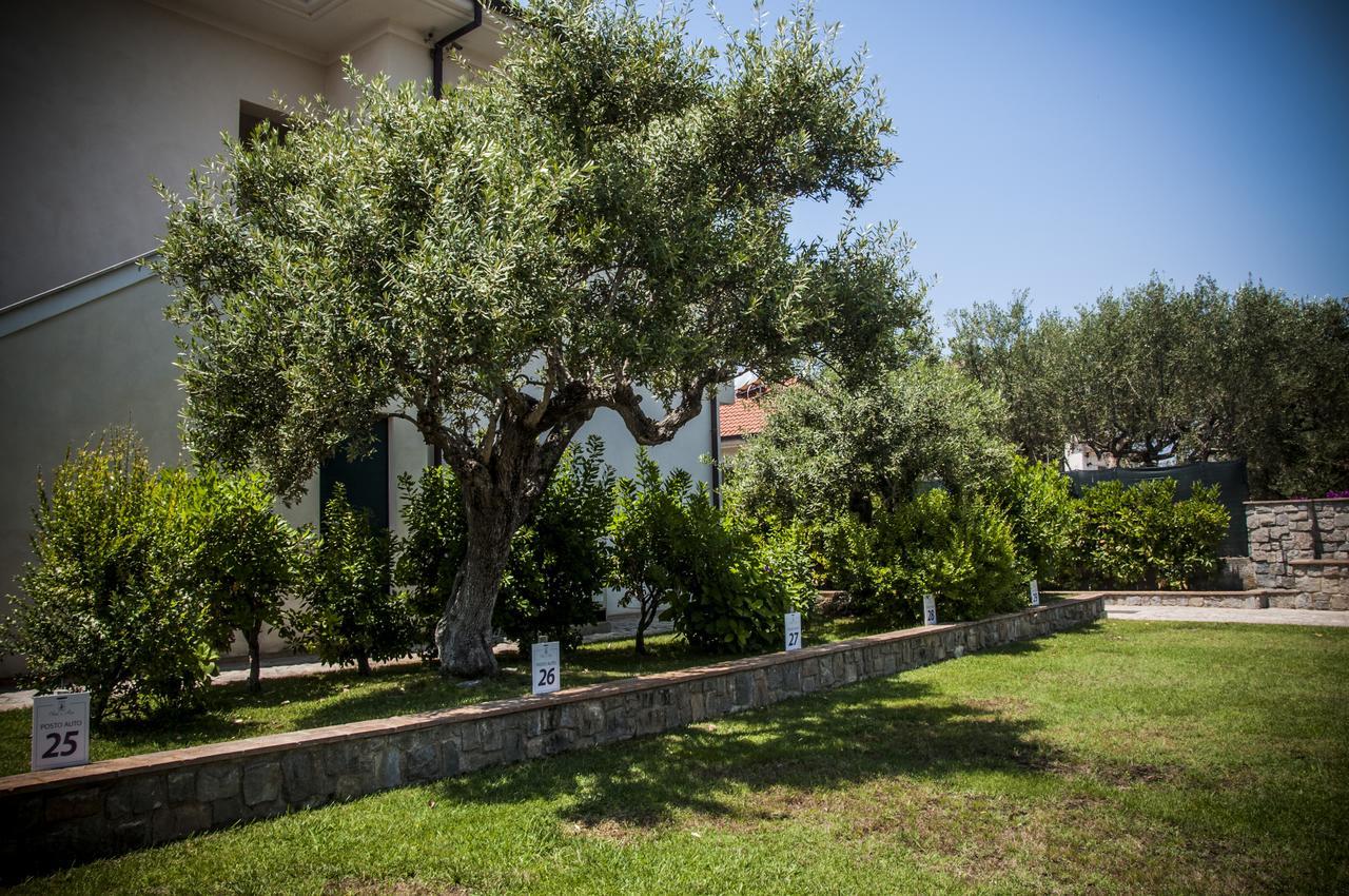 Oliveto A Mare - Suite & Apartment Ascea Eksteriør bilde