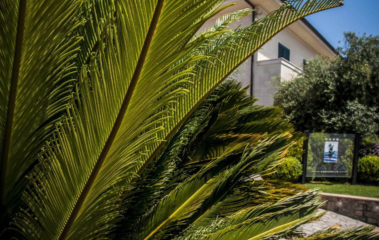 Oliveto A Mare - Suite & Apartment Ascea Eksteriør bilde